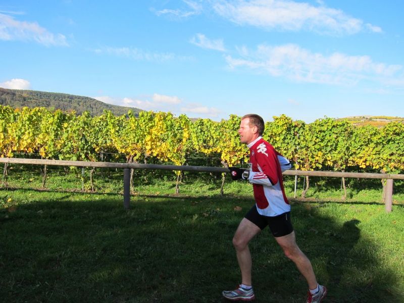 Pfalz-Crossmeisterschaften 2012: Andreas Nicke